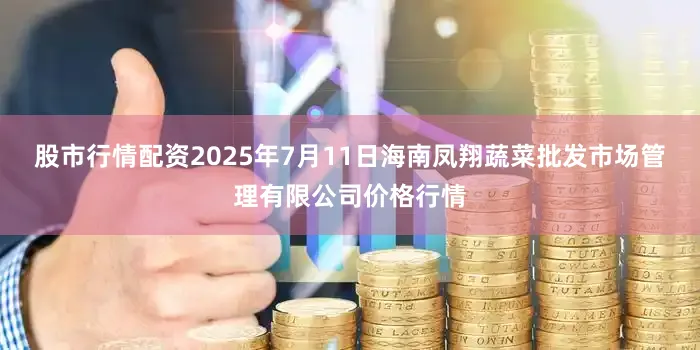 股市行情配资2025年7月11日海南凤翔蔬菜批发市场管理有限公司价格行情