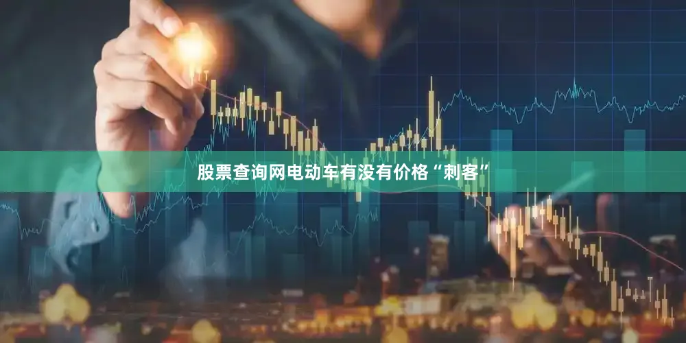 股票查询网电动车有没有价格“刺客”