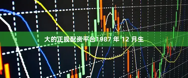 大的正规配资平台1987 年 12 月生