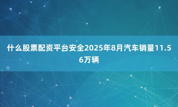 什么股票配资平台安全2025年8月汽车销量11.56万辆