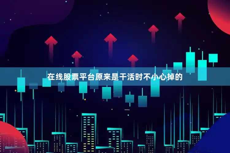 在线股票平台原来是干活时不小心掉的