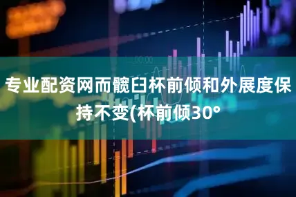 专业配资网而髋臼杯前倾和外展度保持不变(杯前倾30°